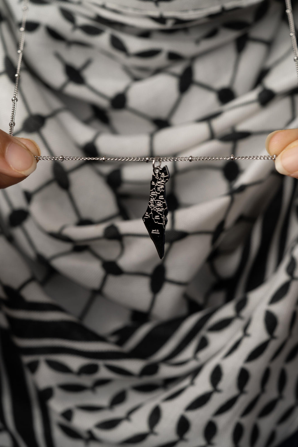 From the River to the Sea Elaan